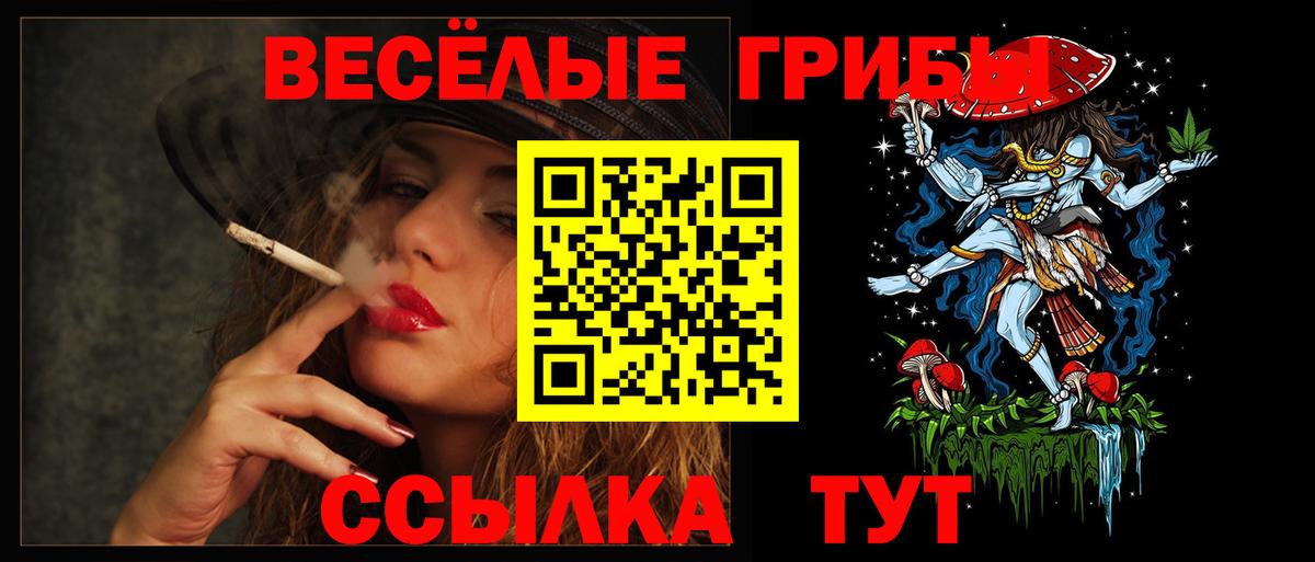 Сокол  где продают наркотики  Вход с VPN  Галлюциногенные грибы Psilocybe 
